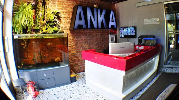 ANKA KONUTLARI KIZILAY